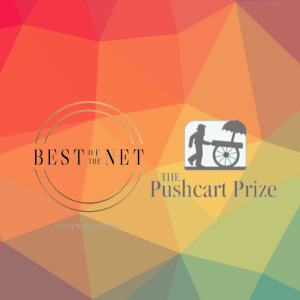 TSW’s 2023 Best of the Net & Pushcart Prize nominees