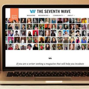 Introducing The Seventh Wave’s new website